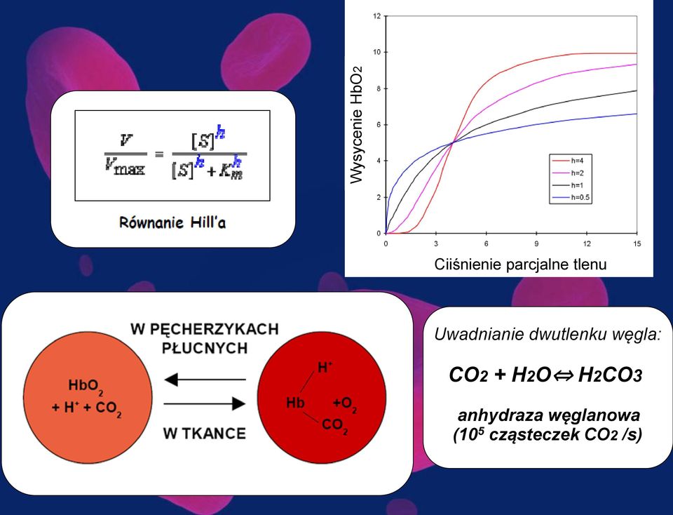 dwutlenku węgla: CO2 + H2O H2CO3