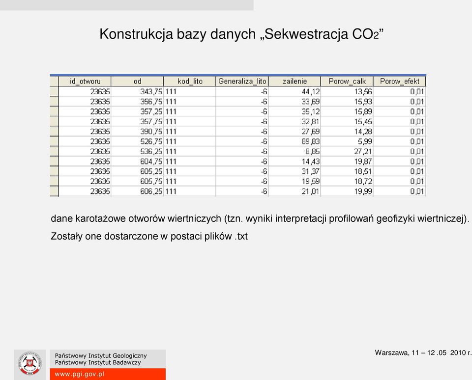 wyniki interpretacji profilowań geofizyki