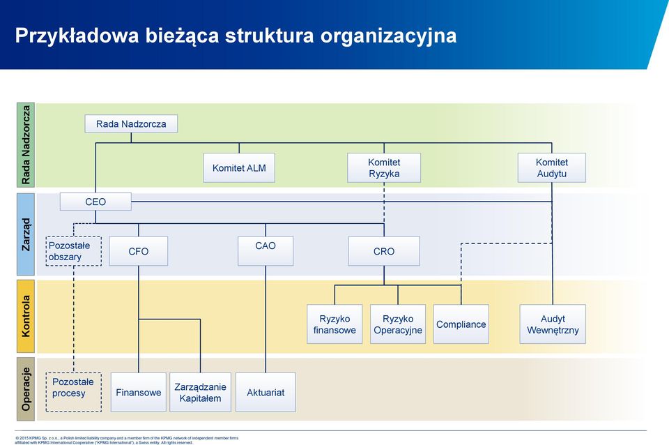 Pozostałe obszary CFO CAO CRO Ryzyko finansowe Ryzyko Operacyjne