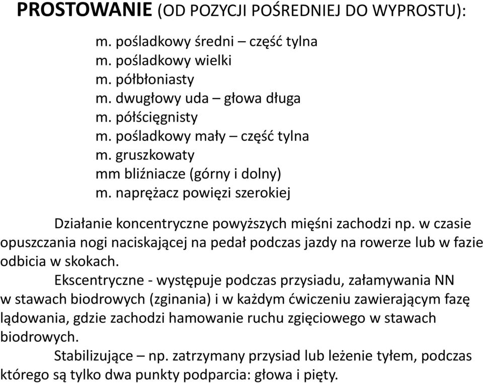 w czasie opuszczania nogi naciskającej na pedał podczas jazdy na rowerze lub w fazie odbicia w skokach.