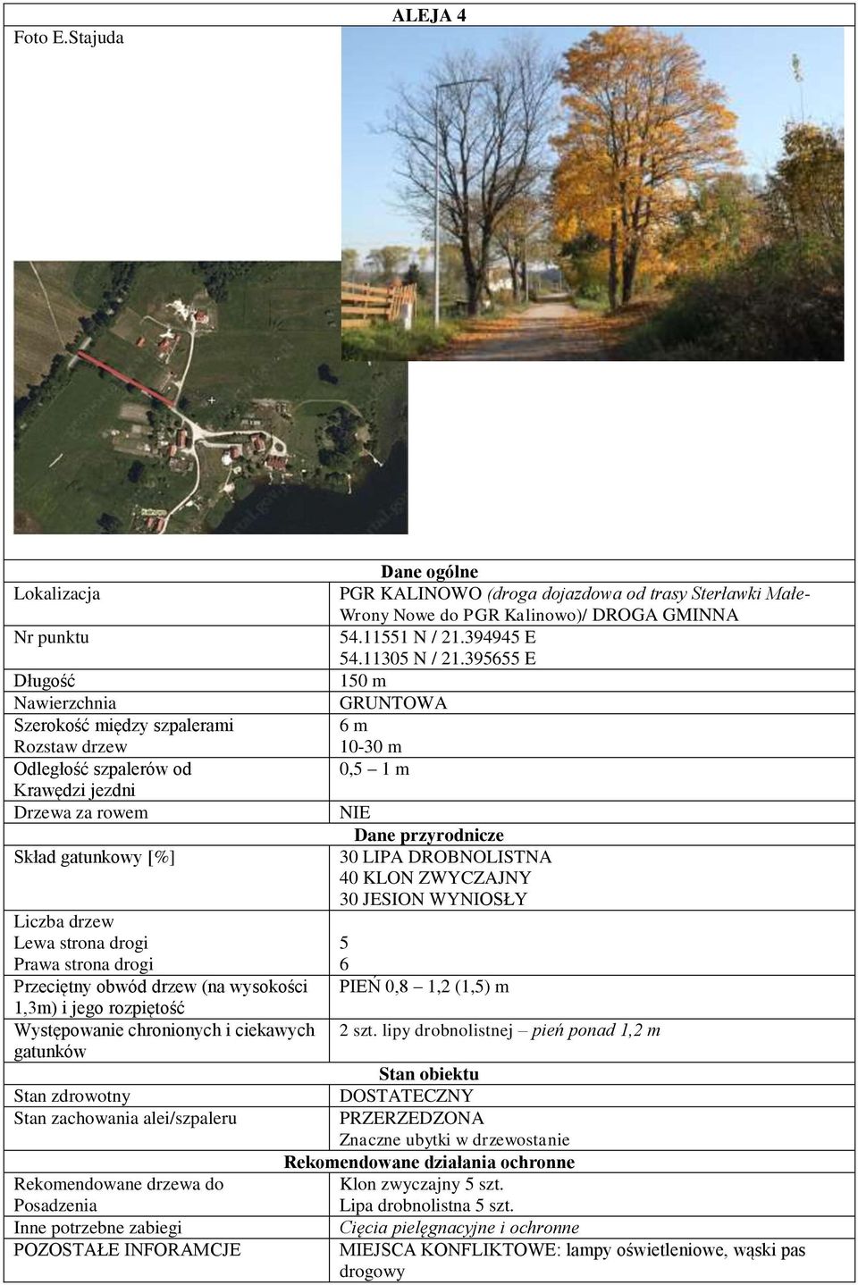 Posadzenia POZOSTAŁE INFORAMCJE PGR KALINOWO (droga dojazdowa od trasy Sterławki Małe Wrony Nowe do PGR Kalinowo)/ DROGA GMINNA 54.11551 N / 21.394945 E 54.11305 N / 21.