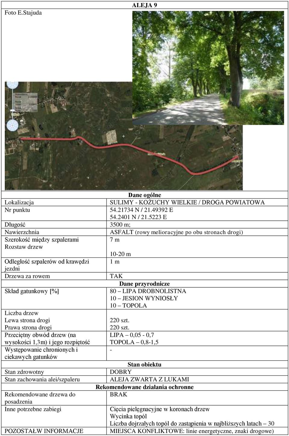 WYNIOSŁY 10 TOPOLA 220 szt.