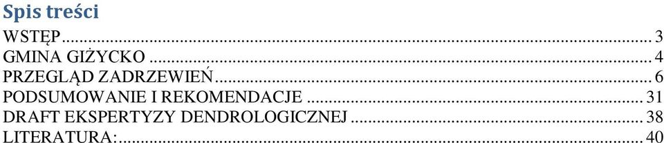 .. 6 PODSUMOWANIE I REKOMENDACJE.