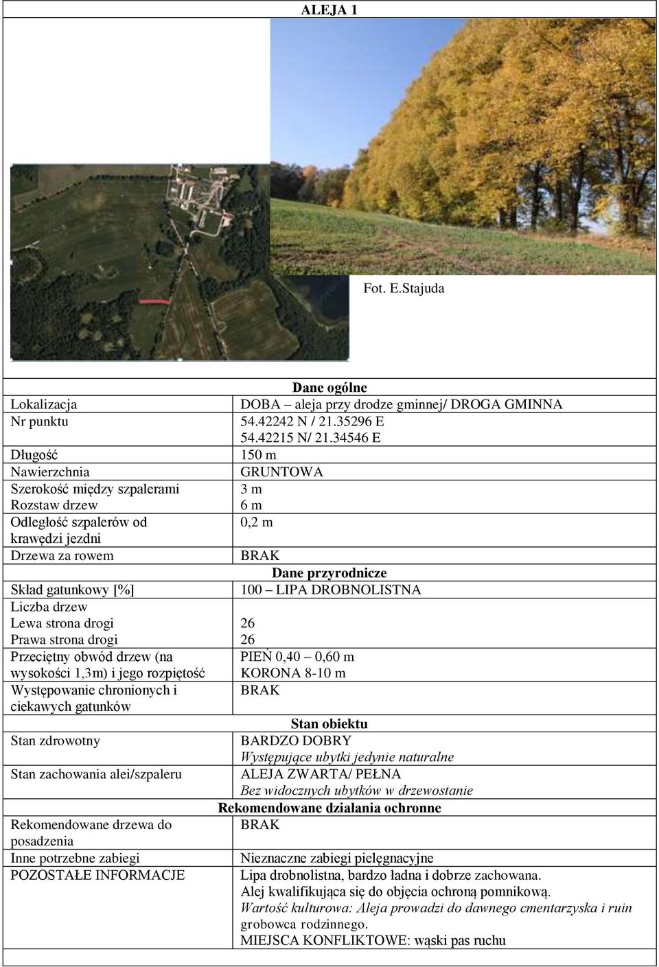 INFORMACJE DOBA aleja przy drodze gminnej/ DROGA GMINNA 54.42242 N / 21.35296 E 54.42215 N/ 21.
