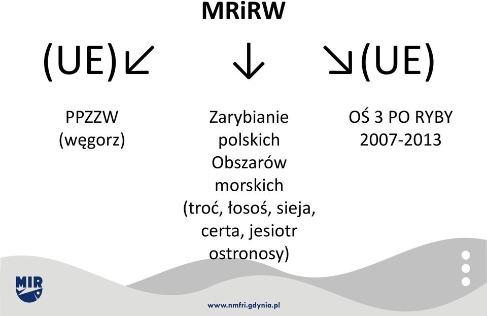 morskich (troć, łosoś, sieja,