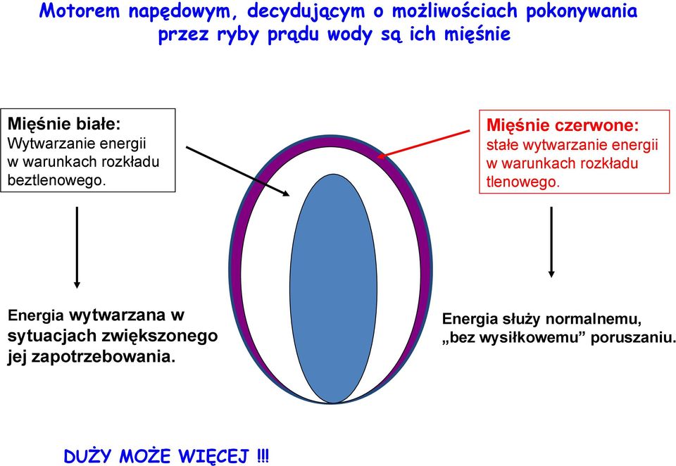 Energia wytwarzana w sytuacjach zwiększonego jej zapotrzebowania. DUŻY MOŻE WIĘCEJ!