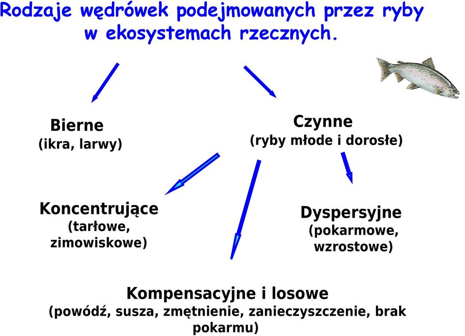 (tarłowe, zimowiskowe) Dyspersyjne (pokarmowe, wzrostowe)