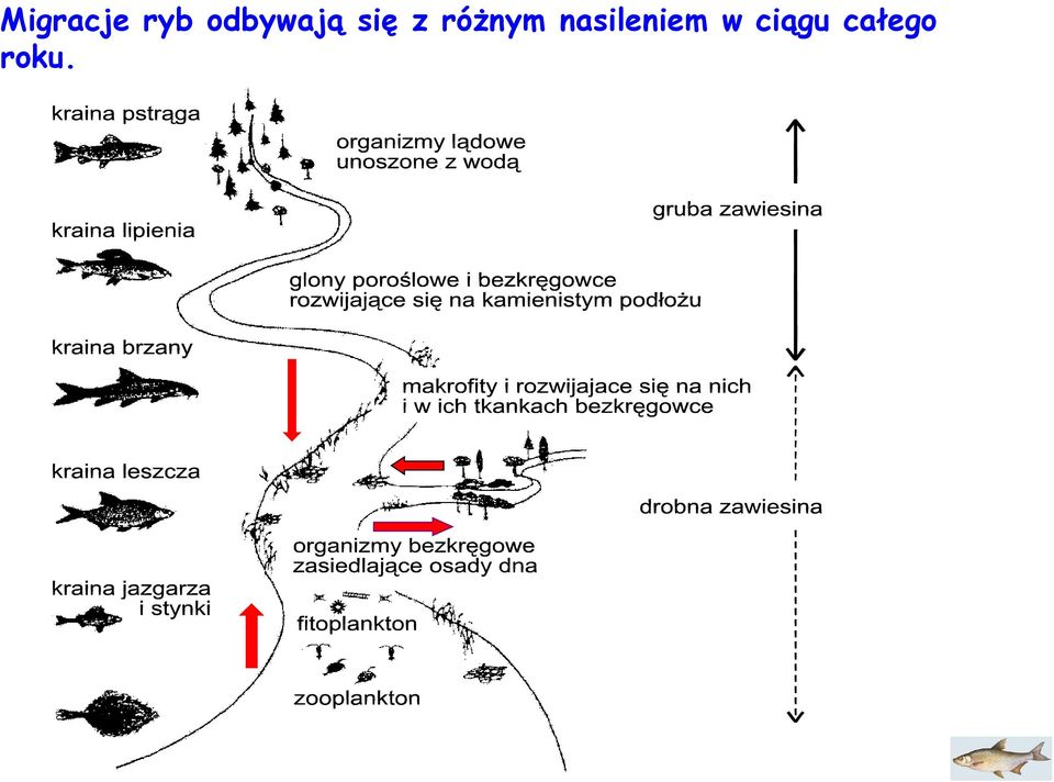 różnym