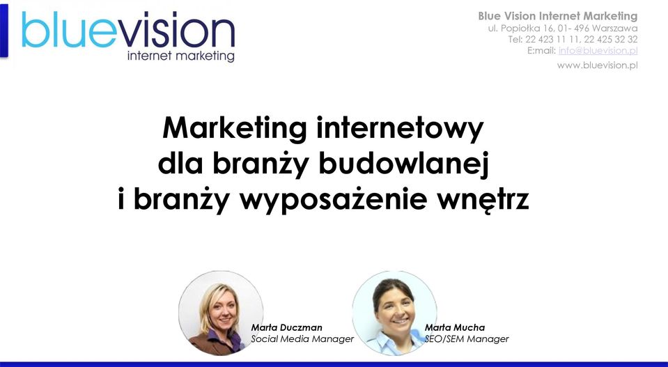 info@bluevision.