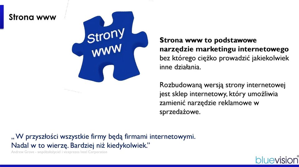 Rozbudowaną wersją strony internetowej jest sklep internetowy, który umożliwia zamienić narzędzie