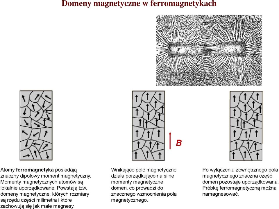 domeny magnetyczne, których rozmiary są rzędu części milimetra i które zachowują się jak małe magnesy.