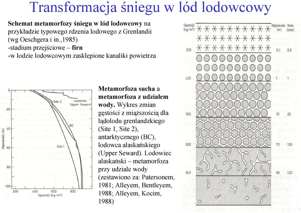 ,1985) -stadium przejściowe firn -w lodzie lodowcowym zasklepione kanaliki powietrza Metamorfoza sucha a metamorfoza z udziałem wody.
