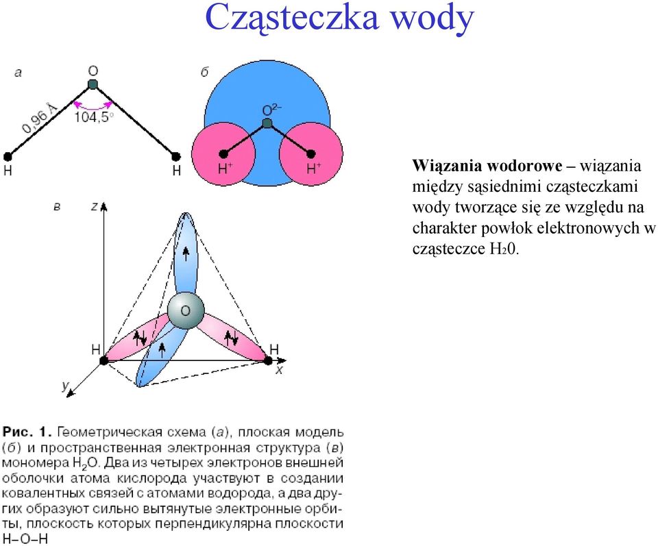 cząsteczkami wody tworzące się ze
