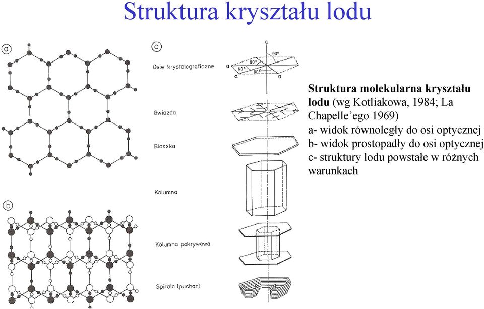 widok równoległy do osi optycznej b- widok prostopadły