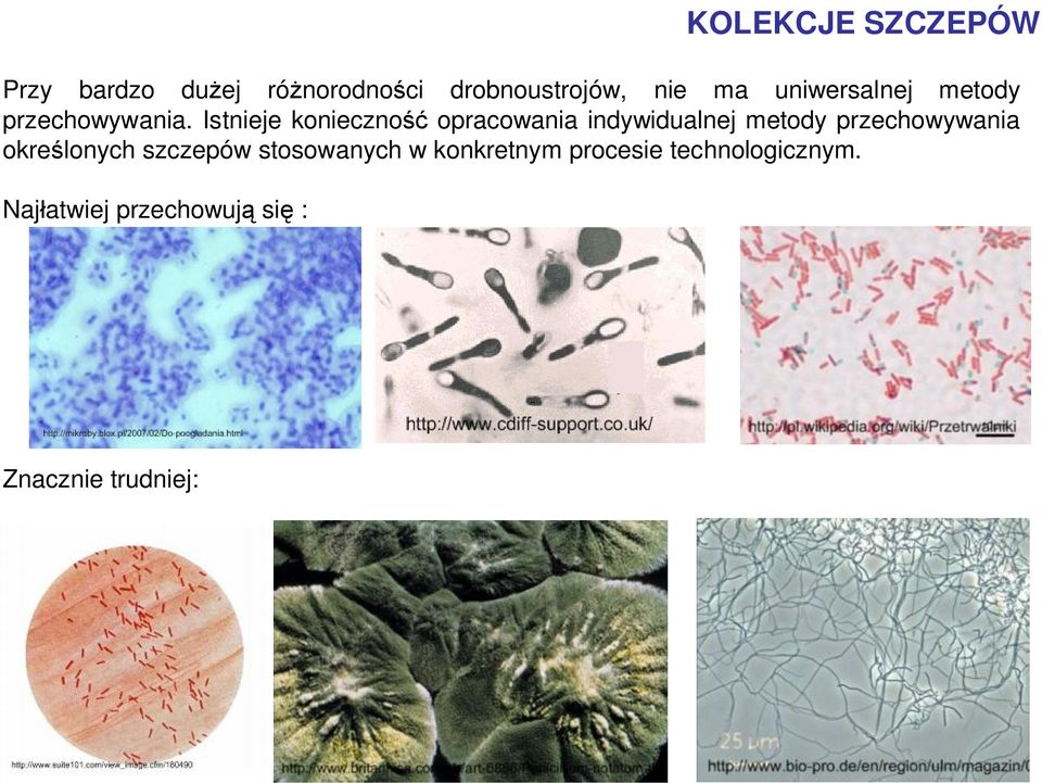 Istnieje konieczność opracowania indywidualnej metody przechowywania