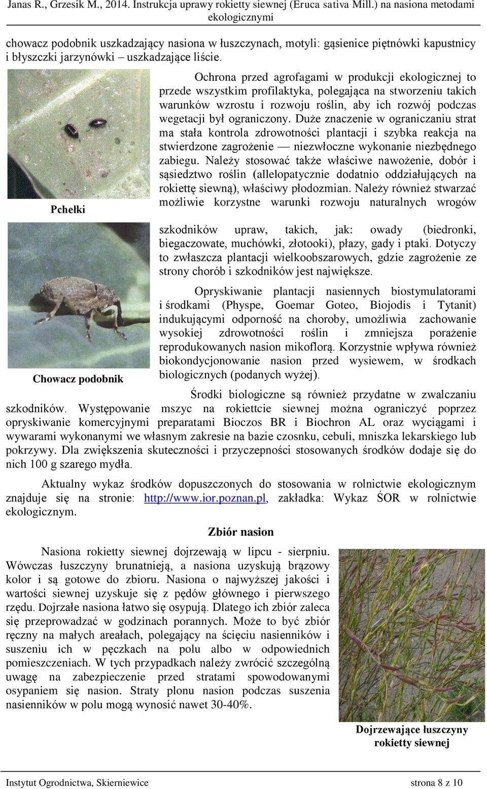 ograniczony. Duże znaczenie w ograniczaniu strat ma stała kontrola zdrowotności plantacji i szybka reakcja na stwierdzone zagrożenie niezwłoczne wykonanie niezbędnego zabiegu.