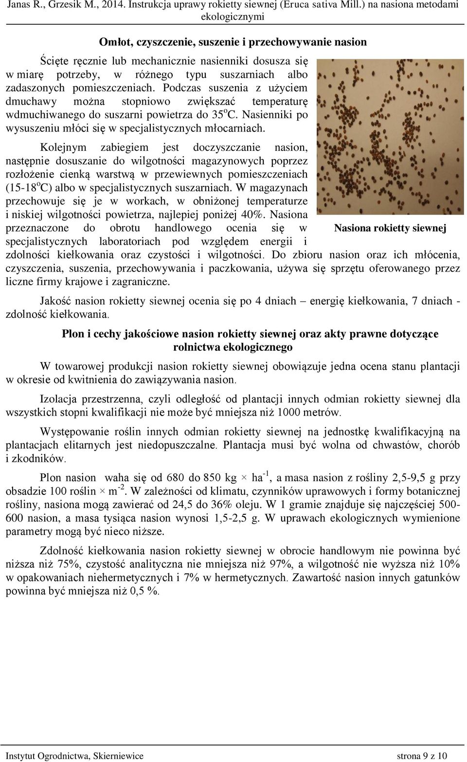 Kolejnym zabiegiem jest doczyszczanie nasion, następnie dosuszanie do wilgotności magazynowych poprzez rozłożenie cienką warstwą w przewiewnych pomieszczeniach (15-18 o C) albo w specjalistycznych
