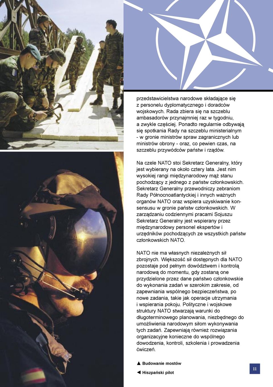 Na czele NATO stoi Sekretarz Generalny, który jest wybierany na około cztery lata. Jest nim wysokiej rangi międzynarodowy mąż stanu pochodzący z jednego z państw członkowskich.