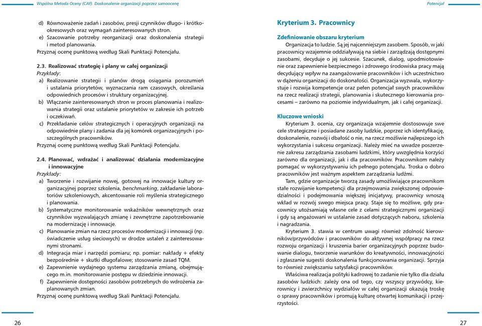 Realizować strategię i plany w całej organizacji Przykłady: a) Realizowanie strategii i planów drogą osiągania porozumień i ustalania priorytetów, wyznaczania ram czasowych, określania odpowiednich