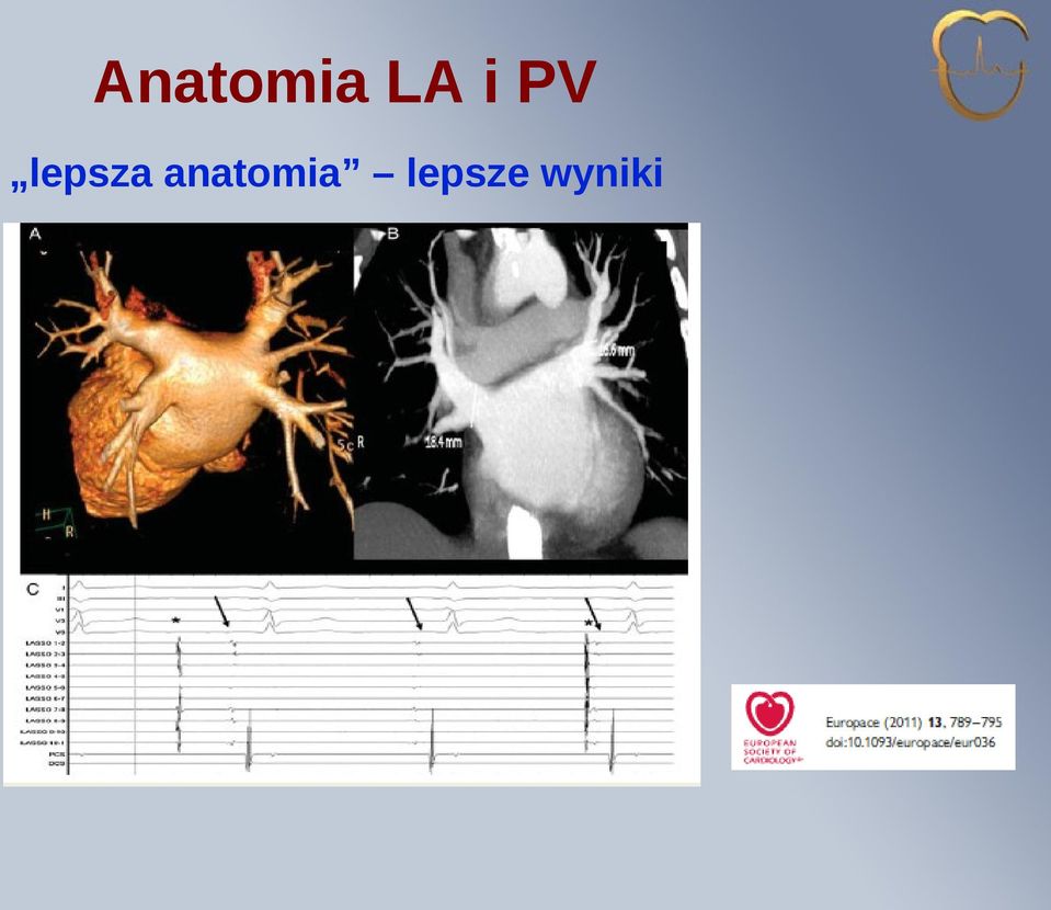 anatomia