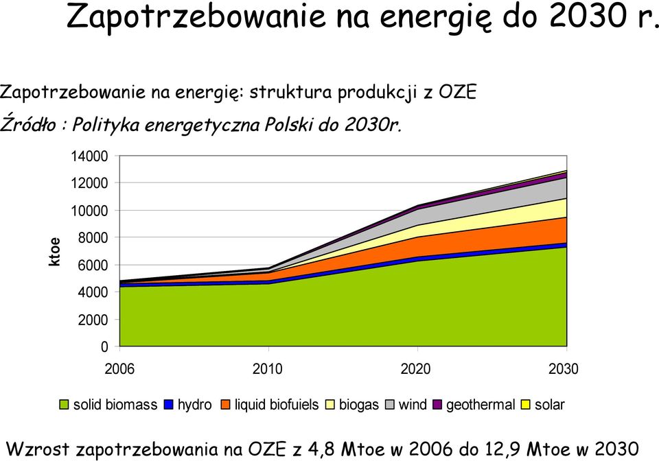 Polski do 2030r.