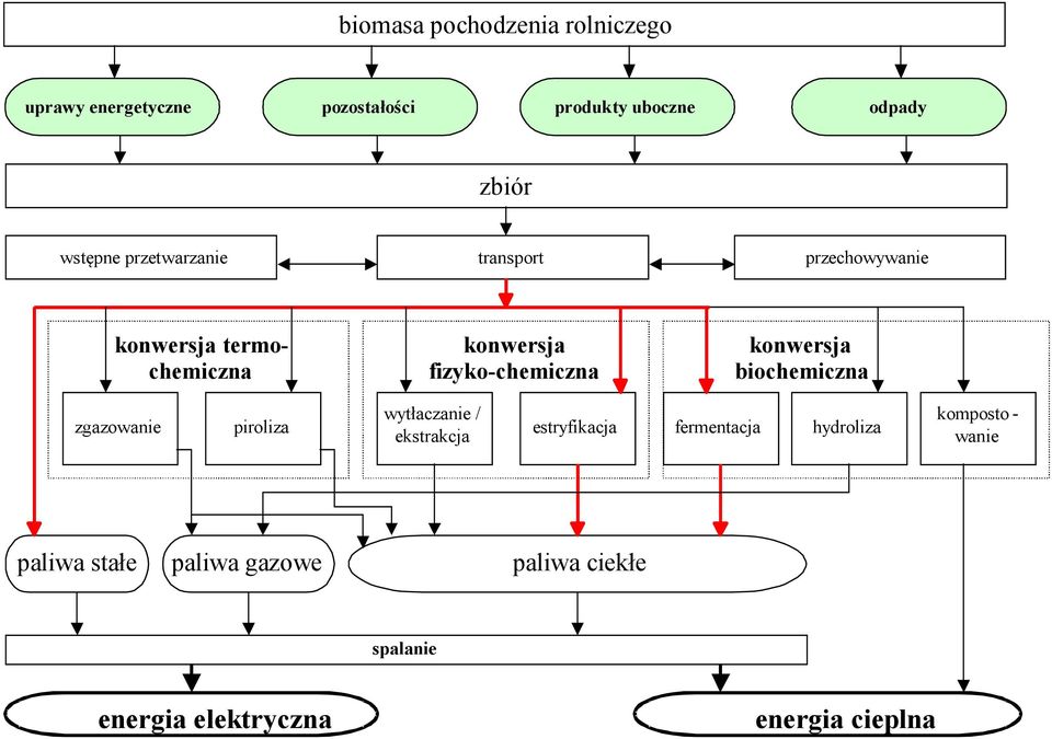 konwersja biochemiczna wytłaczanie / zgazowanie piroliza ekstrakcja estryfikacja fermentacja