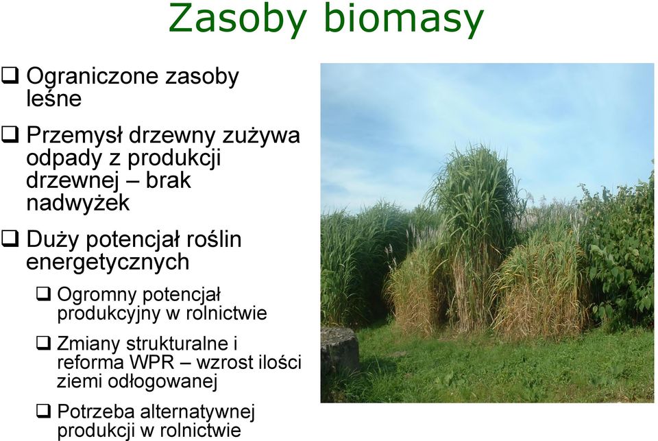 potencjał produkcyjny w rolnictwie Zasoby biomasy Zmiany strukturalne i