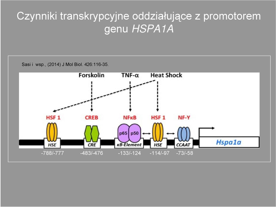 , (2014) J Mol Biol. 426:116-35.