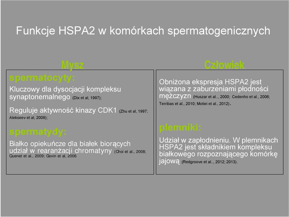 , 2009; Govin et al, 2006 Obniżona ekspresja HSPA2 jest wiązana z zaburzeniami płodności mężczyzn (Huszar et al.., 2000; Cedenho et al., 2006; Terribas et al.