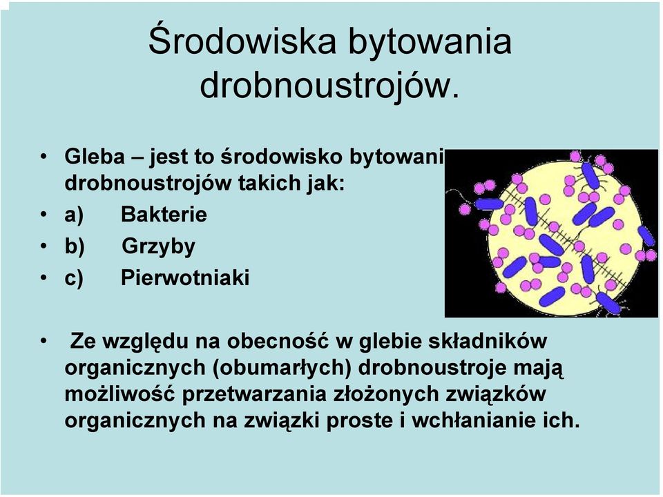 Grzyby c) Pierwotniaki Ze względu na obecność w glebie składników organicznych