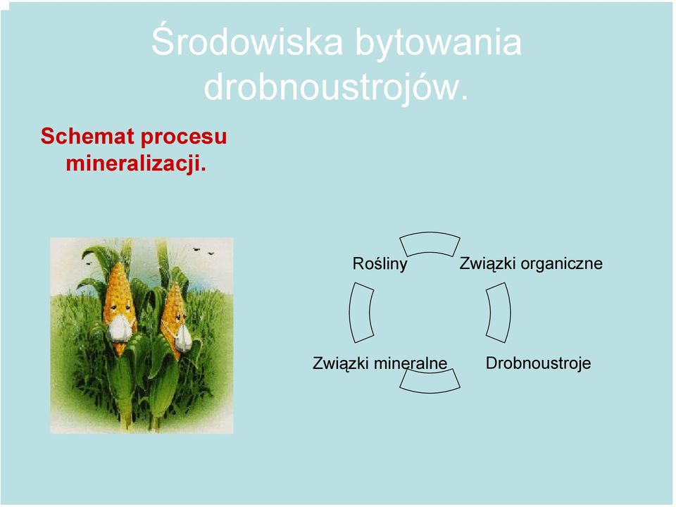 drobnoustrojów.
