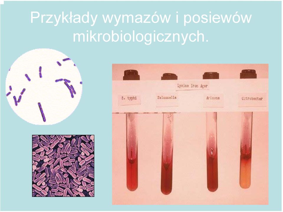 posiewów