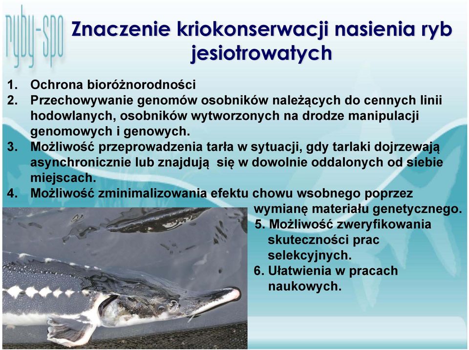 3. Możliwość przeprowadzenia tarła w sytuacji, gdy tarlaki dojrzewają asynchronicznie lub znajdują się w dowolnie oddalonych od siebie