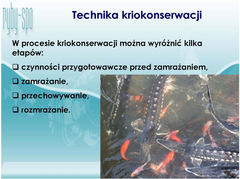 etapów: czynności przygotowawcze przed