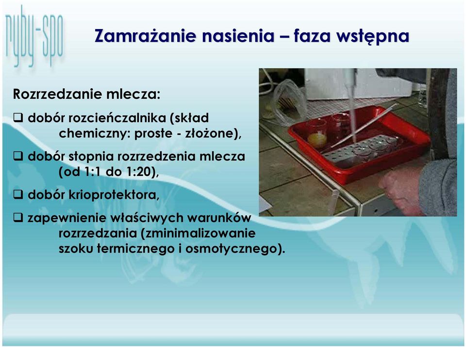 rozrzedzenia mlecza (od 1:1 do 1:20), dobór krioprotektora,