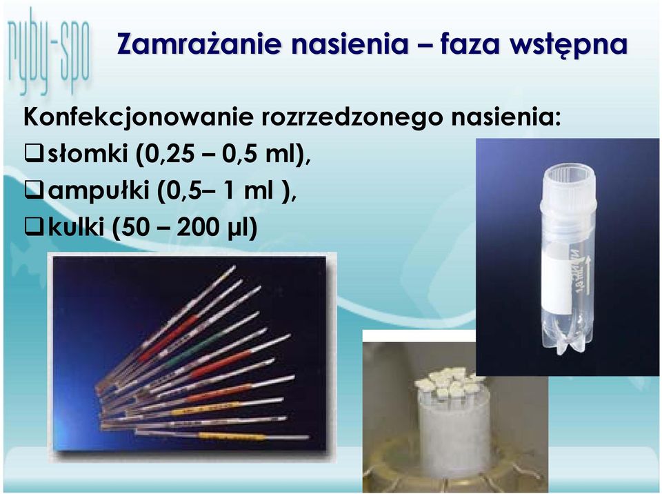 nasienia: słomki (0,25 0,5 ml),