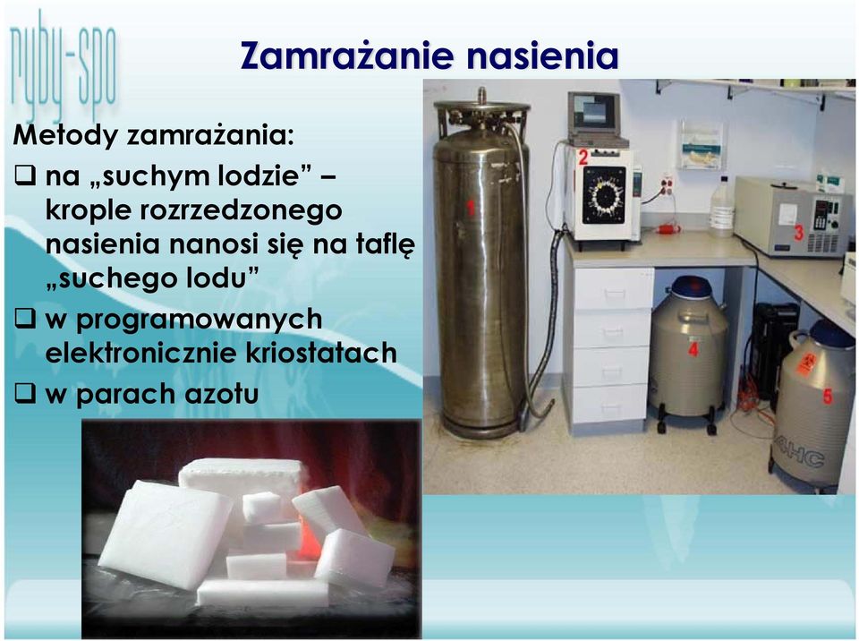 nanosi się na taflę suchego lodu w