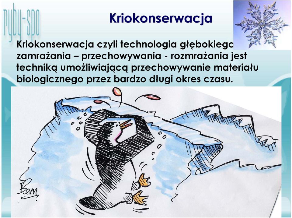 umożliwiającą przechowywanie materiału biologicznego przez