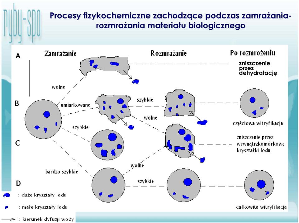 biologicznego zniszczenie przez