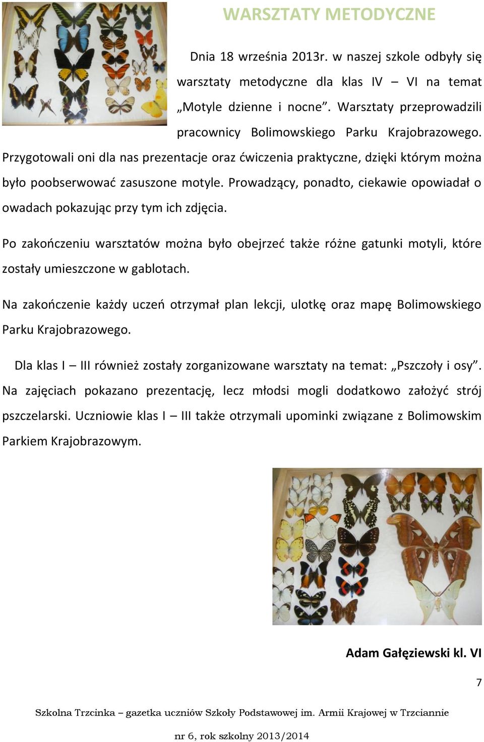 Prowadzący, ponadto, ciekawie opowiadał o owadach pokazując przy tym ich zdjęcia. Po zakooczeniu warsztatów można było obejrzed także różne gatunki motyli, które zostały umieszczone w gablotach.