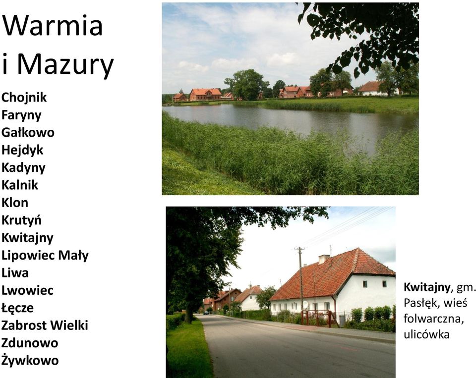 Mały Liwa Lwowiec Łęcze Zabrost Wielki Zdunowo