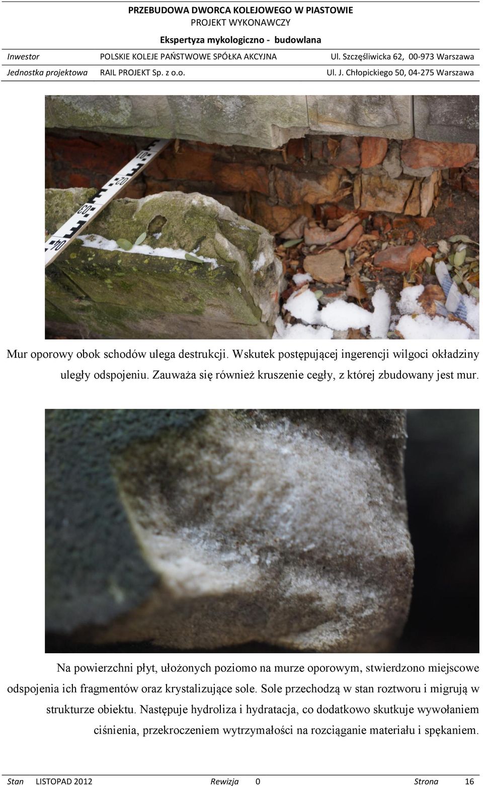 Na powierzchni płyt, ułożonych poziomo na murze oporowym, stwierdzono miejscowe odspojenia ich fragmentów oraz krystalizujące sole.