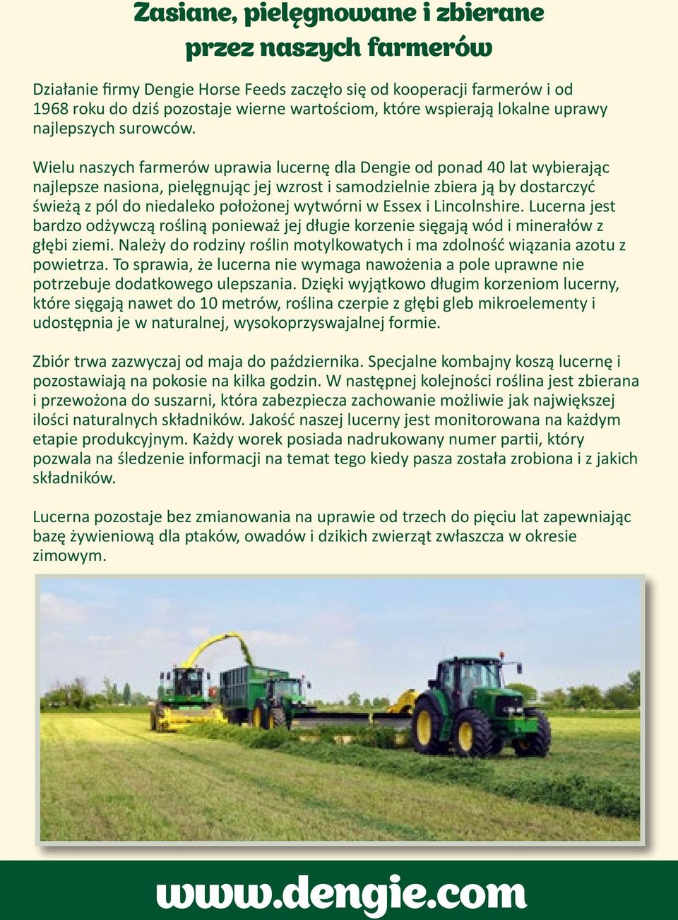 Wielu naszych farmerów uprawia lucernę dla Dengie od ponad 40 lat wybierając najlepsze nasiona, pielęgnując jej wzrost i samodzielnie zbiera ją by dostarczyć świeżą z pól do niedaleko położonej