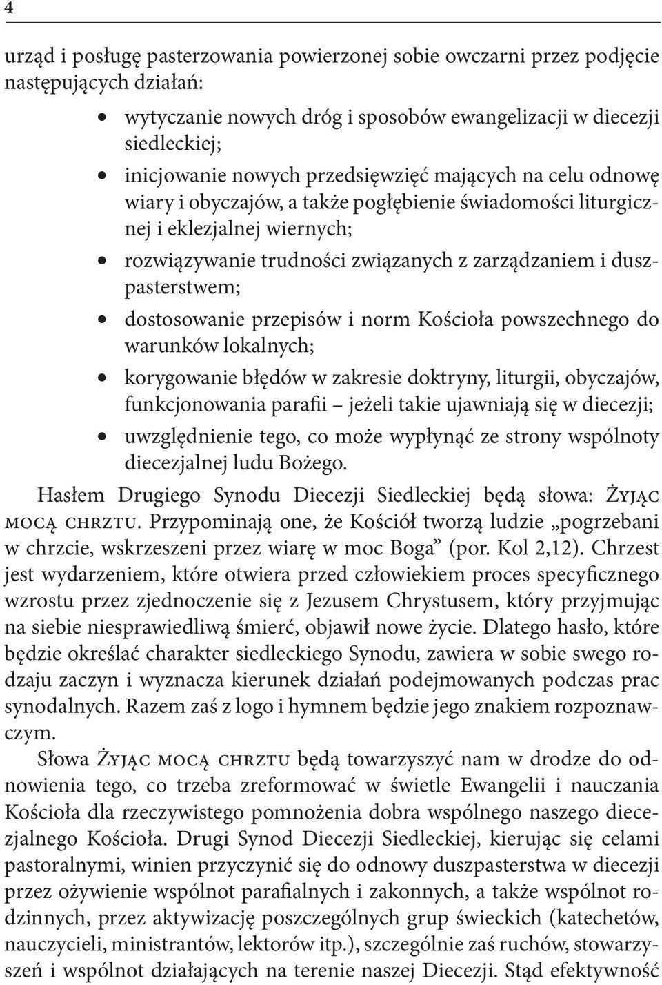 dostosowanie przepisów i norm Kościoła powszechnego do warunków lokalnych; korygowanie błędów w zakresie doktryny, liturgii, obyczajów, funkcjonowania parafii jeżeli takie ujawniają się w diecezji;