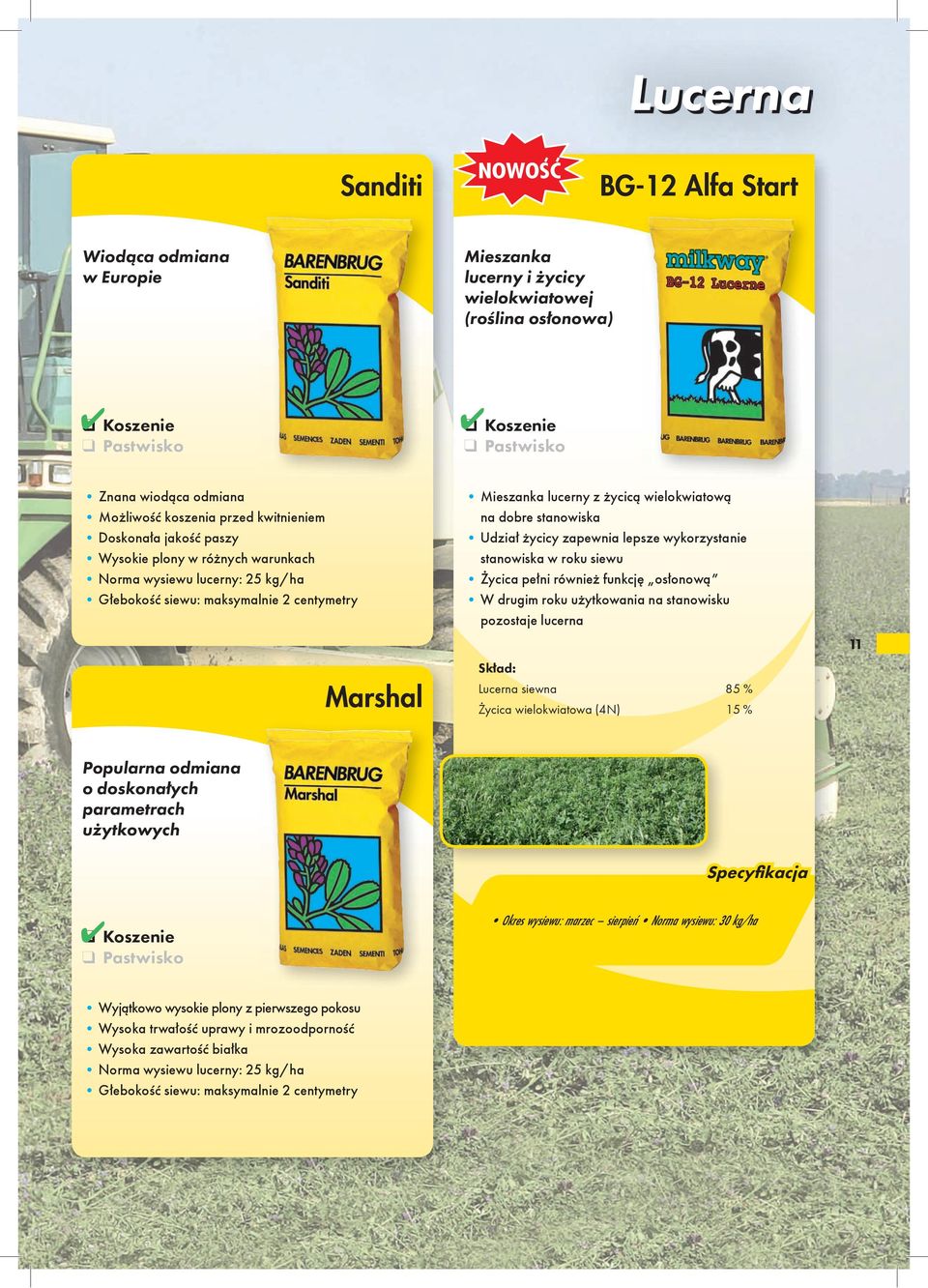 dobre stanowiska Udział życicy zapewnia lepsze wykorzystanie stanowiska w roku siewu Życica pełni również funkcję osłonową W drugim roku użytkowania na stanowisku pozostaje lucerna Lucerna siewna 85