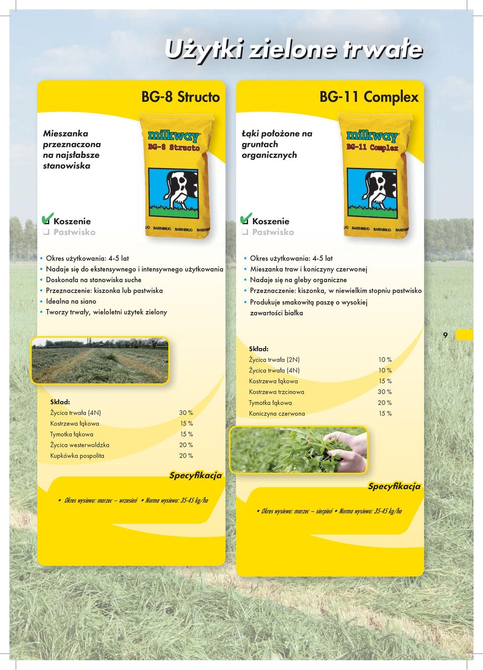 Mieszanka traw i koniczyny czerwonej Nadaje się na gleby organiczne Przeznaczenie: kiszonka, w niewielkim stopniu pastwisko Produkuje smakowitą paszę o wysokiej zawartości białka 9 Życica trwała (4N)