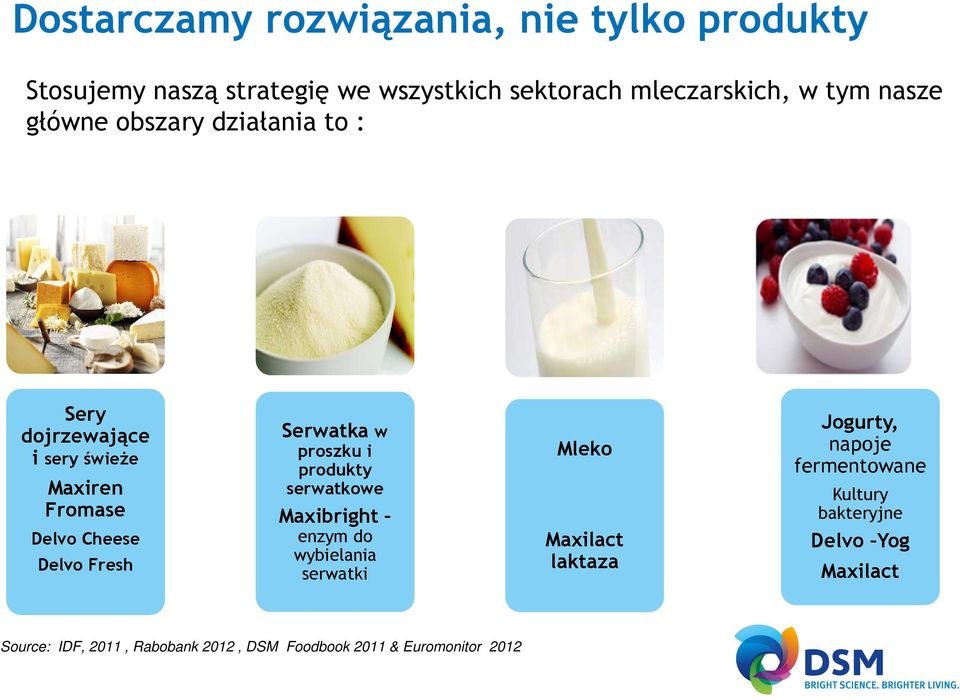 Serwatka w proszku i produkty serwatkowe Maxibright enzym do wybielania serwatki Mleko Maxilact laktaza Jogurty,