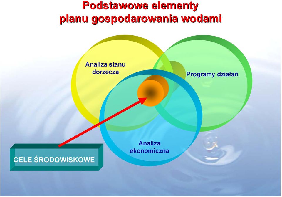 stanu dorzecza Programy działań