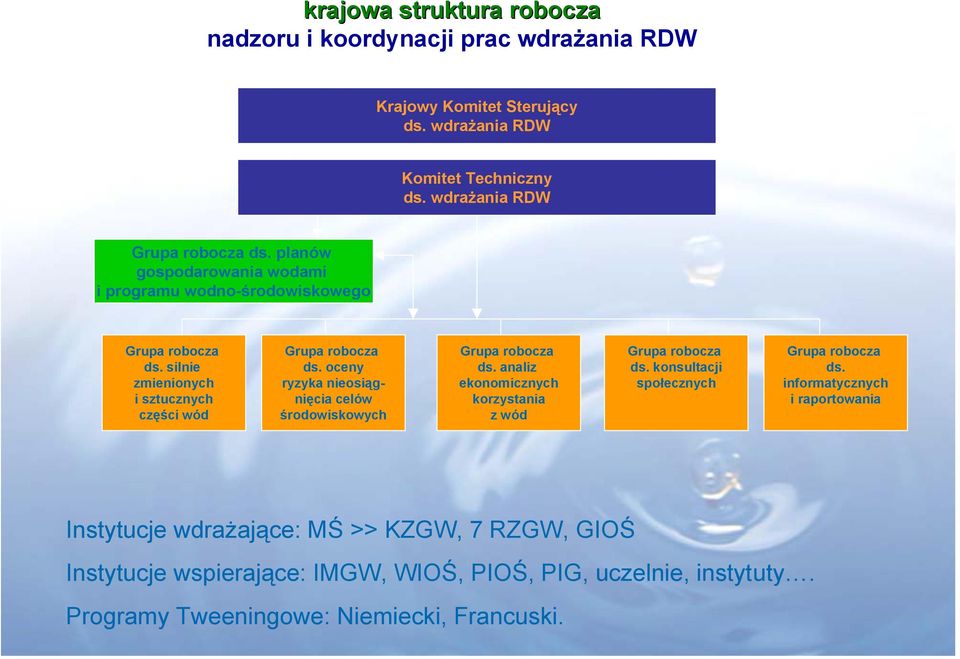 oceny ryzyka nieosiągnięcia celów środowiskowych Grupa robocza ds. analiz ekonomicznych korzystania z wód Grupa robocza ds. konsultacji społecznych Grupa robocza ds.