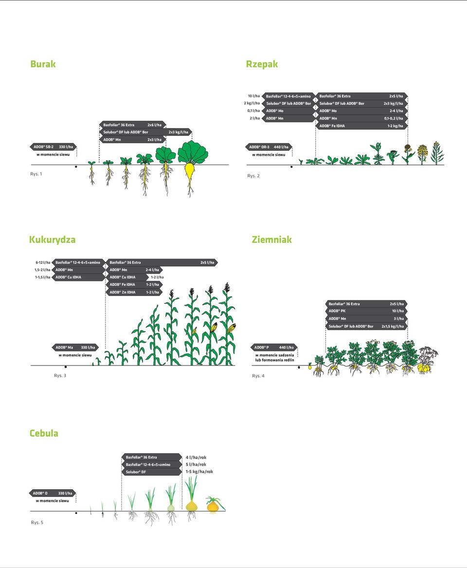 2 Kukurydza Ziemniak 6-12 l/ha asfoliar 12-4-6++amino asfoliar 36 Extra 2x5 l/ha 1,5-2 l/ha 2-4 l/ha 1-1,5 l/ha ADO Cu IDHA ADO Cu IDHA 1-2 l/ha ADO Fe IDHA 1-2 l/ha ADO Zn IDHA 1-2 l/ha asfoliar 36